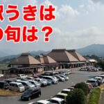 道の駅うきはの果物の旬は？特産品の富有柿が10月頃